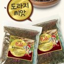 씨앗 이미지