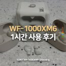 패스트포워드 | 만에 고점 또 갱신? 음질 노캔 끝판왕 소니 WF-1000XM6 무선 이어폰 1시간 사용 후기 (+ 첫인상, 언박싱)