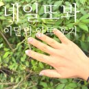 네일또봐/안산 중앙동 네일/이달의 아트 받고온 후기