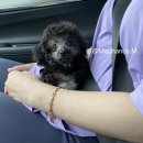 코코실버(주) 이미지