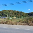 살미면사무소 이미지