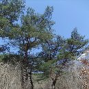 좋은인연부동산 공인중개사사무소 이미지