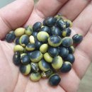 김명화농장 이미지