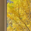 해나라1호 이미지