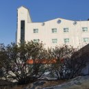 모텔버킹검 이미지