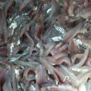 동원횟집 이미지