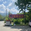 옥룡면 동곡산장옆주차장 | 광양 옥룡계곡 동곡산장 푸른산장 솔직후기