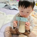 청산어린이집 | 26개월 아기 어린이집빨대컵 추천 그로미미 PPSU 사용 찐후기