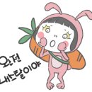 미스홀랜드