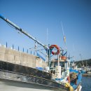 기사문항(회센터) 이미지