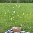 봄나들이 도시락 만들기 이미지