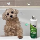나의 강아지에게 | 강아지샴푸 추천, 강아지냄새제거 확실한 포레스트허그 솔직후기