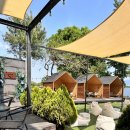 그린애견 이미지