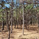 남가람박물관 이미지