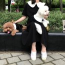 베베랑스 이미지