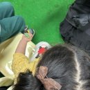 보들농장 이미지