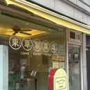 마카오박 | 속초 에그타르트 휘낭시에 맛집 마카오박 현장웨이팅 내돈내산 후기