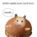 다름컬러리스트