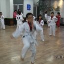 천생태권도 이미지