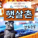 마당이수목원(자작나무동) | 남양주 수동면 맛집 제주갈치 전문점 햇살촌 재방문!