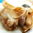 사지목 나무그늘 이미지