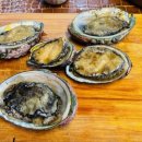 천문대오토캠핑장 이미지