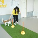 옐레드 하남미사점 이미지