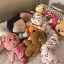 싱글마켓 | 슈퍼싱글사이즈 침대 추천 가성비 브랜드 끝판왕 마켓비 철제 프레임