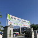 이리중앙초등학교 이미지