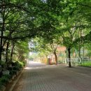 상인초등학교+사랑샘유치원 이미지