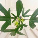 (주)아라마루 이미지