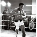 다윗복싱다이어트 이미지