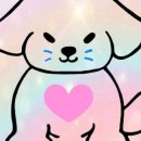 그레이스쇼핑 이미지