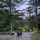 유명산자연휴양림 러닝 후기 | 가민265 와 뛰어본 가파른 숲길