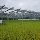 햇빛농장2 이미지