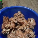 청도강변돌고래펜션 이미지