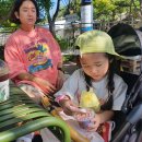 레인보우 게임랜드 이미지