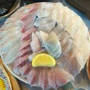 쌍둥이네 회 포차 | [경산/술집] 경산 방어 맛집 "쌍둥이네회포차"