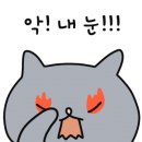 홀리앤졸리 - 동구 녹수11길 45 | 홀리앤졸리