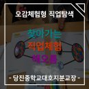 당진중학교대호지분교장 이미지