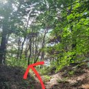 [명산기행#375] 금북정맥 은고개 최단코스 산행 이미지