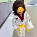 스타 태권도 이미지