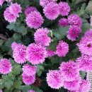 명보공인중개사사무소 이미지