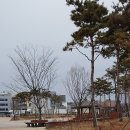 현촌2로 이미지