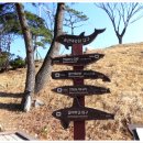 솔마루길 신선산 이미지