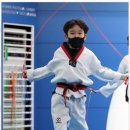 브레인박사태권도 이미지