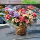 꽃사로움 | ✨어버이날 준비 ; 카네이션 꽃바구니! 첨단 꽃집 추천💐
