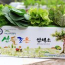지리산구례공동체 네이버블로그