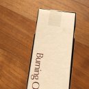 버닝 burning | 기은세 PICK! 바인허브 버닝온 다이어트보조제 후기｜가르시니아캄보지아 고함량 체지방컷팅제