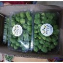 재열농장 이미지